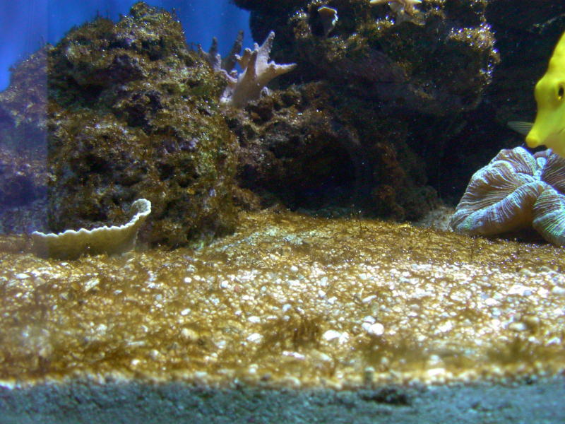 image015.jpg